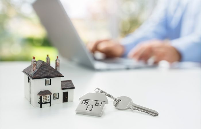 Searching the internet for real estate or new house Searching the internet for real estate or new house
